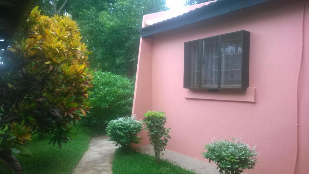 Gloria'S Bed And Breakfast Livingstone Dış mekan fotoğraf